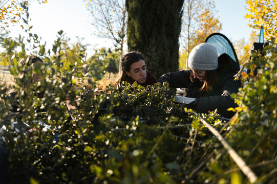 Volunteers group in cooperative teamwork to plant trees