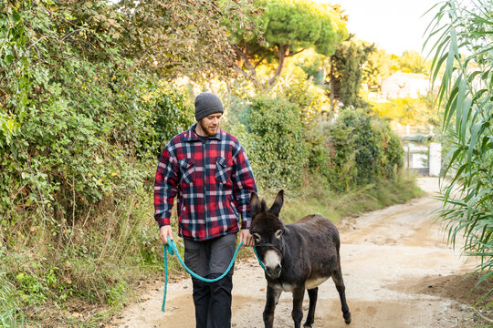 Man taking donkey for a walk in nature