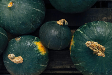 Kabocha squash