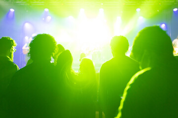 Spectators watching a music concert