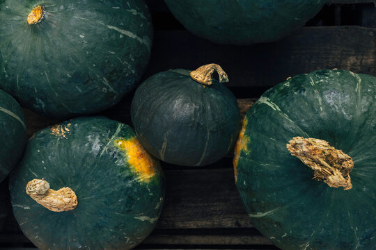 Kabocha squash