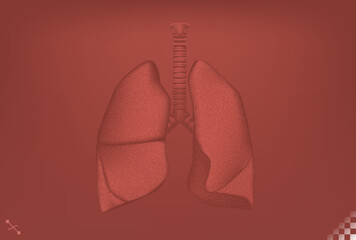 beautiful clean clinical monotone color human lungs respiratory organ fully editable