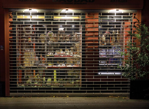 roller shutters in front of store