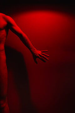 Abstract Red Portrait