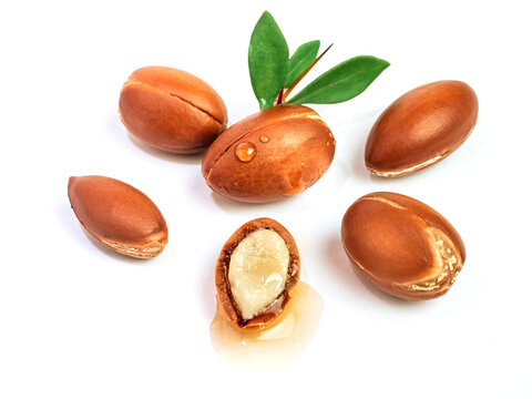 Argan nuts with green leaves on an isolated white background. Chopped argan nut with a drop of oil. Whole and half Moroccan Argania Spinosa seeds for the production of oil