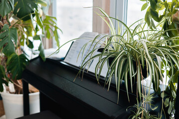 Black piano at home with green plants, music and garden concept side view