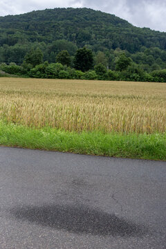 Spot on the road with countryside in the back