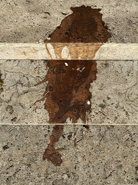 wet spot