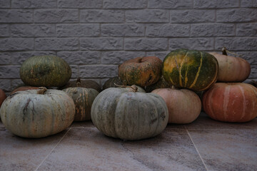 Homemade pumpkin is a very healthy product.