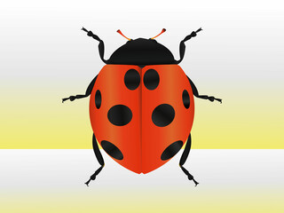 bug gradient 3d illustration design