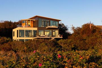 Rosa Rugosa Rose Hip flowers on beach with modern home 