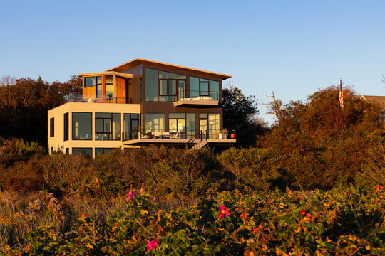 Rosa Rugosa Rose Hip flowers on beach with modern home 