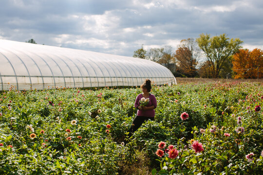 Flower Farmer