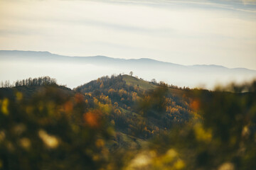 Fog over mountain and tree on the top of a hill