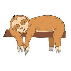 Fototapeta premium sloth lying and sleeping on branch hand drawn