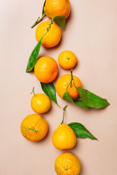 Row of Satsuma mandarian oranges
