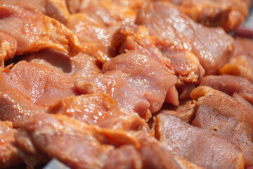 Prepared meat for barbecue. Raw meat on skewers.