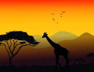Fototapeta na wymiar giraffe at sunset illustration