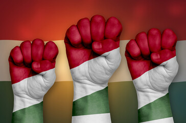 The flag of Hungary is drawn on a clenched fist and in the background.