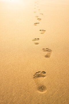 Footprint on sandy beach toward sea.