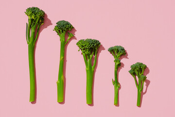 stalks of raw broccolini in descending order