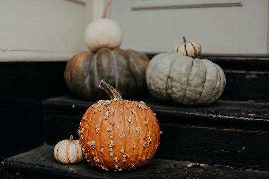 Festive pumpkins on a doorstep