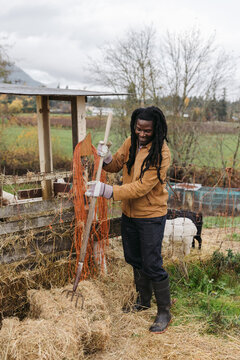 Farmer man feeding animals with hay.