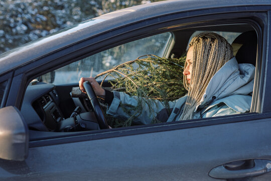 Woman driving through forest with a Christmas tree