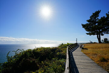 a beautiful seascape with the sun