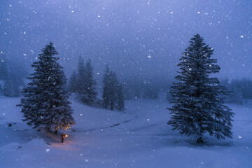 On man holding a lantern in a winterly landscape.