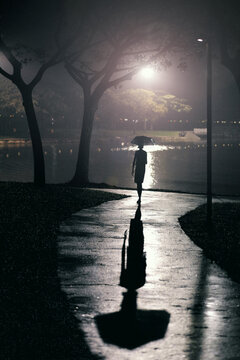 Lone Shadow
