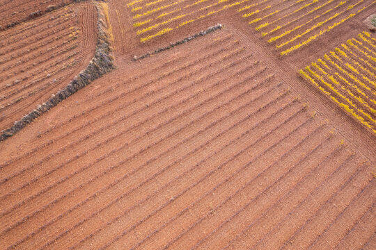 Vineyards of Cari&ntilde;ena wine region, Saragossa, Aragon, Spain