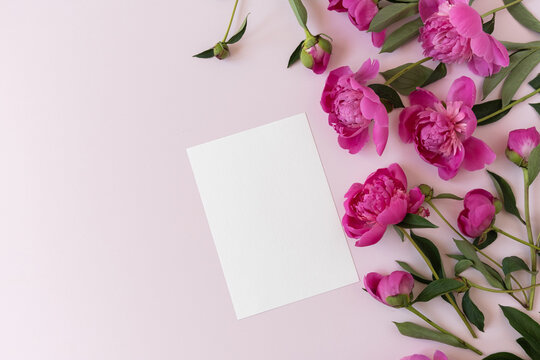 Blank paper invitation card with copy space. Pink peony flowers bouquet on neutral pastel elegant pink background. Flat lay, top view minimal floral composition