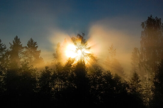 Beams of Light