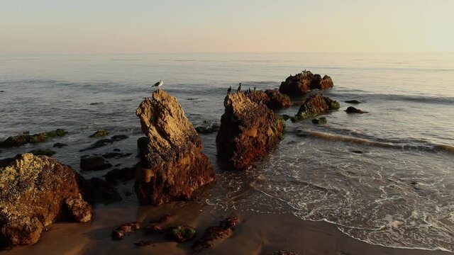 rocks at the shore of El Matador Beach in Malibu California, birds standing on top of the rocks and waves rolling on the shore during golden hour, gorgeous landscape