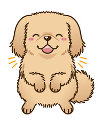 喜ぶペキニーズ（レッド系）