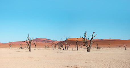 Dead Vlei in Namib desert, peoples climbing to top of dune, Namibia, Southern Africa landscape