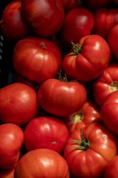 Pile of tomatoes
