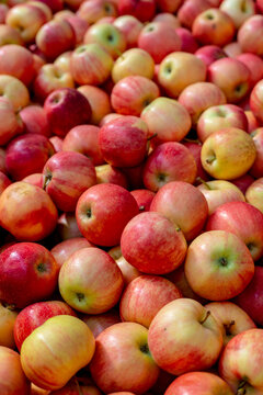 Red Apples