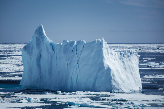 Icebergs floating in the melting sea ice in the Davis Strait.