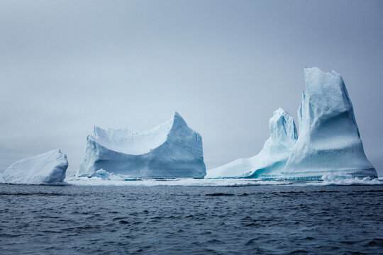Icebergs floating in the melting sea ice in the Davis Strait.