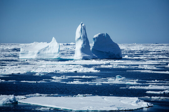 Icebergs floating in the melting sea ice in the Davis Strait.