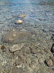 小笠原諸島 父島 宮之浜海岸 世界自然遺産 小笠原国立公園 小笠原 東京