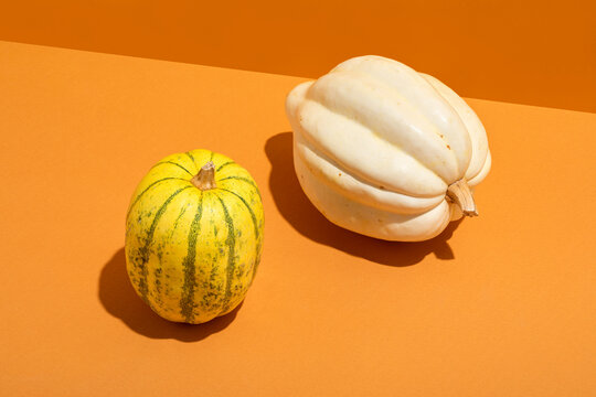 squashes