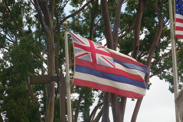Hawaiian State Flag Blowing in the breeze.