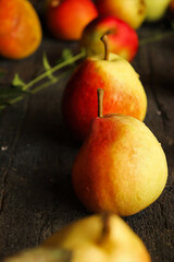 Williams pears, yellow and red, fragrant, ripe, black background,