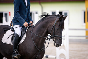 closeup portrait of black stallion horse and handsome man rider during showjumping competition in...