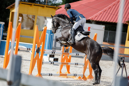 closeup portrait of black stallion horse and handsome man rider jumping obstacle during showjumping competition in summer