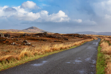Small road by vast field with fern and mountains in the background. Nature scene in Connemara, county Galway, Ireland. Irish landscape. Travel and sightseeing. Warm sunny day, cloudy sky.