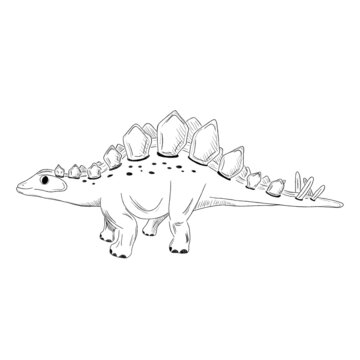 black and white stegosaurus drawing
